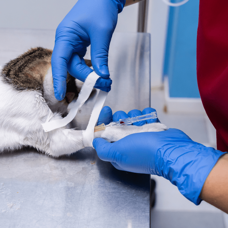 Manoxx® Premium Nitrilhandschuhe | 100 Stück - Dispoxx